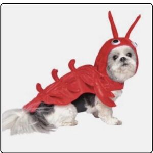 Red Lobster/Crab Costume - Small Per Costume